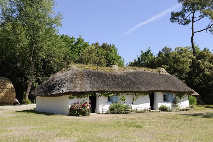 Visites et animations à la Bourrine du Bois Juquaud, Musée de la bourrine du bois Juquaud, Saint-Hilaire-de-Riez