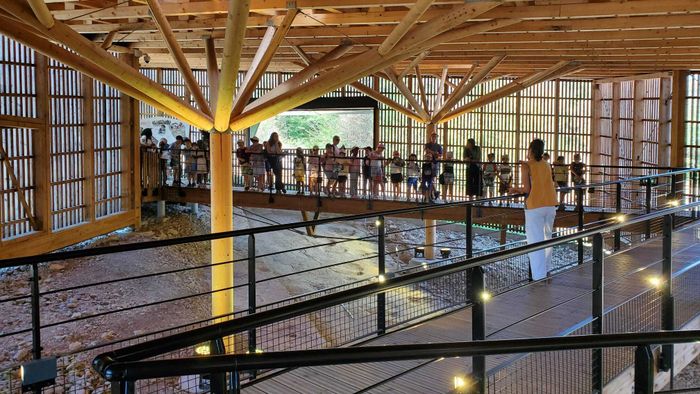 Visites guidées à Dinoplagne, Dinoplagne, Plagne