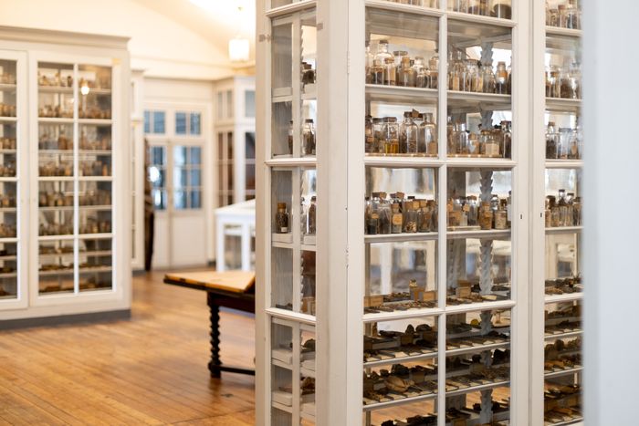 Visites guidées de la bibliothèque et des collections, Musée national de la Marine – Ancienne école de médecine navale, Rochefort