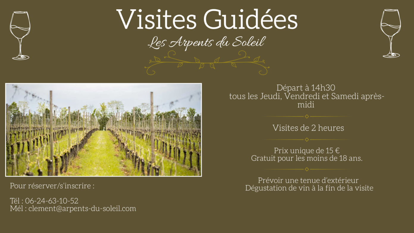 Visites guidées du vignoble Les Arpents du Soleil Vendeuvre