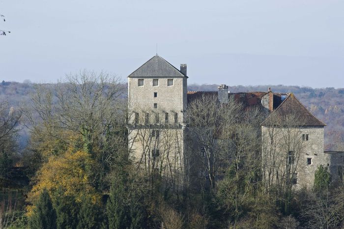 Visites guidées et animations historiques au château de Valleroy, Château de Valleroy, Vallerois-le-Bois
