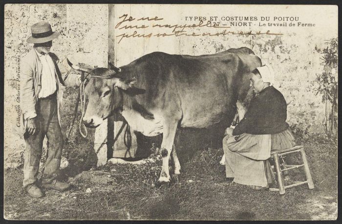 Visites libres et commentées – Exposition : L’histoire est dans le pré. Mutations de l’agriculture dans les Deux-Sèvres au XXe siècle, Archives départementales des Deux-Sèvres, Niort