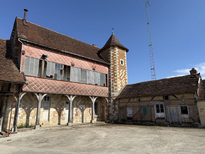 Visitez le manoir accompagné du propriétaire, Manoir de Montreuil-sur-Barse, Montreuil-sur-Barse