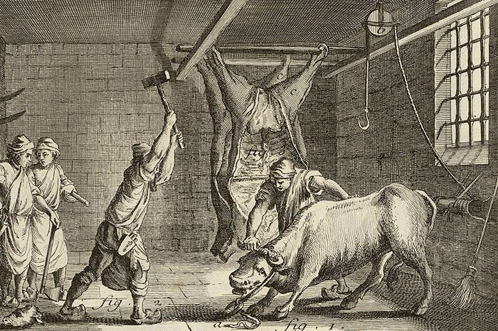 Voltaire était-il végétarien ? Les Délices Genève