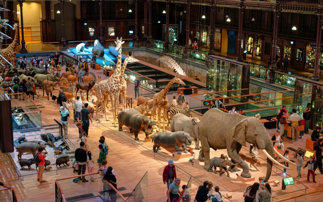 Voyage extraordinaire à la Galerie de l’Évolution Grande galerie de l&rsquo;évolution Paris