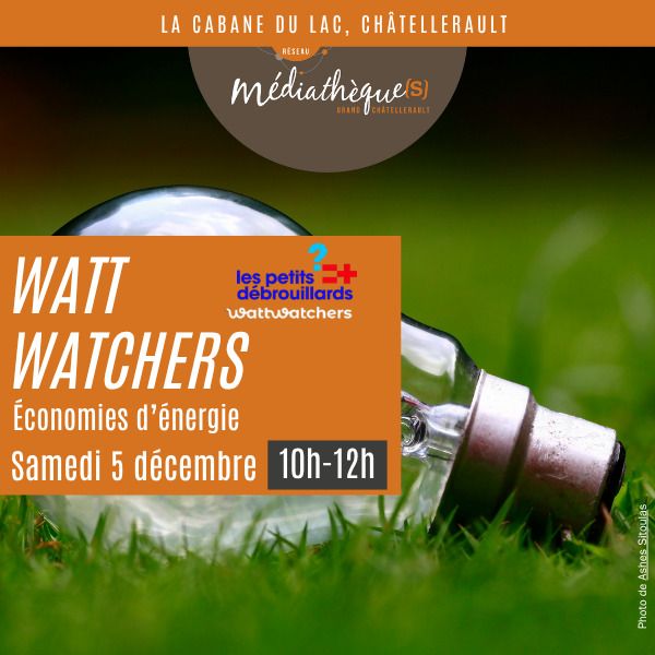 Watt Watchers atelier autour des économies d’énergie La Cabane du Lac Châtellerault