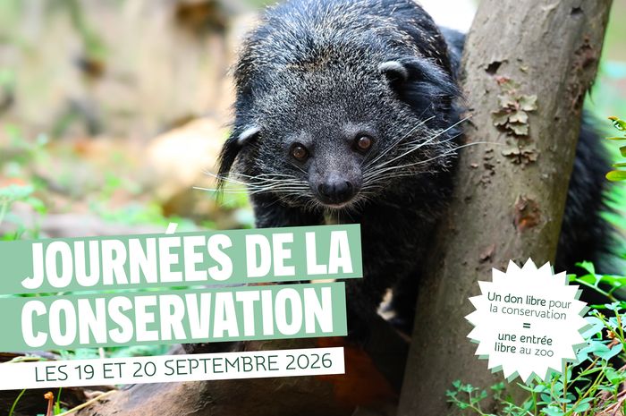 Zoo de Lille : Les journées de la conservation, zoo de lille, Lille
