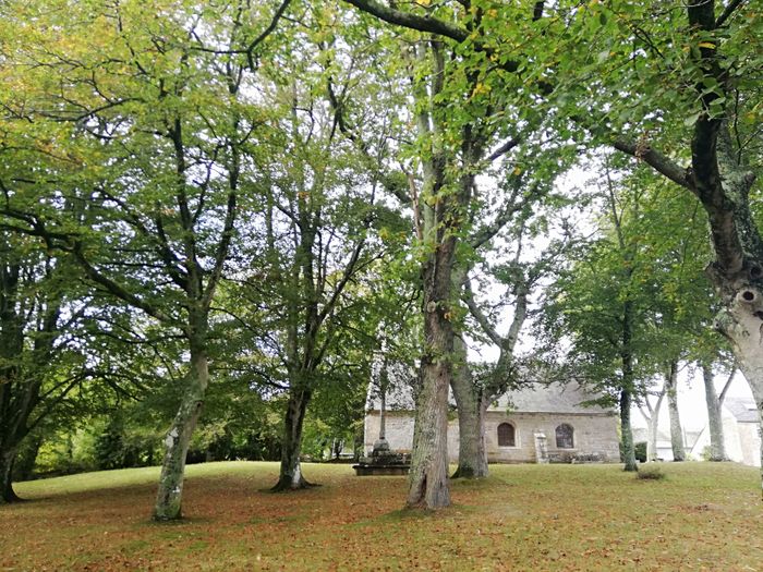 À la découverte de la chapelle Saint-Trémeur !, Chapelle Saint-Trémeur / Plougastel, Plougastel-Daoulas