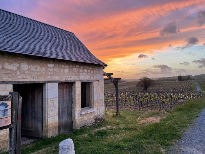 À la découverte de la double vie du coteau, de la loge de vigne des Marquises et du Conservatoire des variétés anciennes du Bourgueillois., Église Saint-Germain, Benais