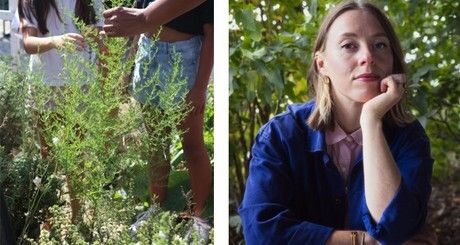 A la découverte des plantes urbaines avec Ophélie Damblé !, Bibliothèque Nelson-Mandela – Pantin,