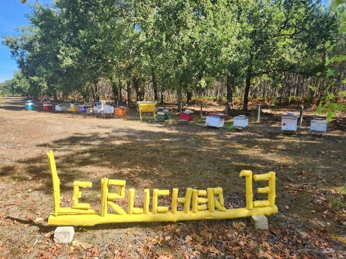 À la découverte du Rucher 13, Le rucher 13, Sainte-Hélène