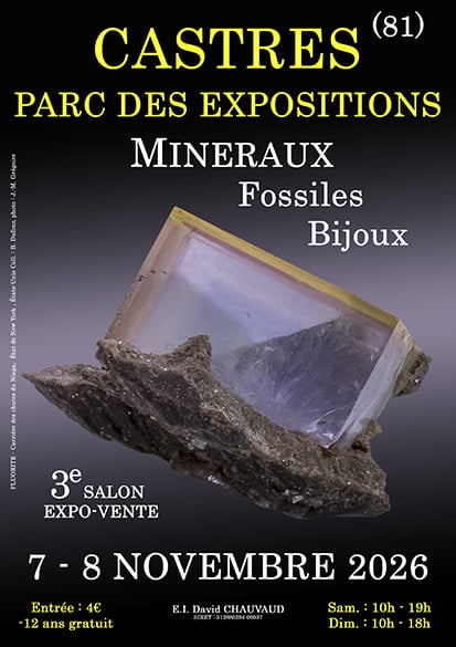 3e SALON MINERAUX FOSSILES BIJOUX de CASTRES (Tarn) Parc des Expositions