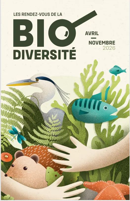 Aider les oiseaux en hiver, L&rsquo;abri du marin, Concarneau