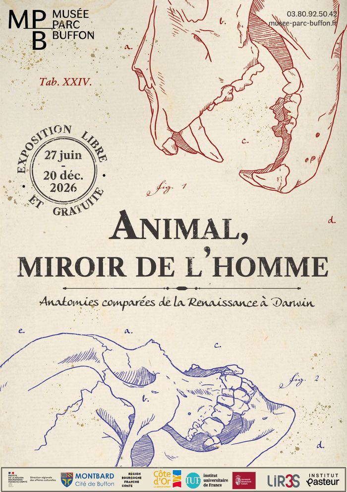 Animal, miroir de l’homme, Anatomies comparées de la Renaissance à Darwin, Musée et Parc Buffon, Montbard