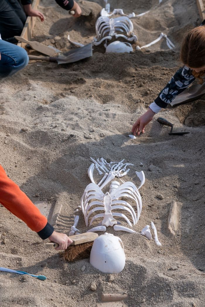 Animation jeune public : la fouille d’une sépulture gallo-romaine, Gisacum, site gallo-romain, Le Vieil-Évreux
