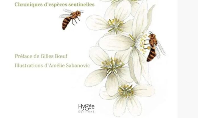 Quand les animaux donnent alerte Cyrille Harpet