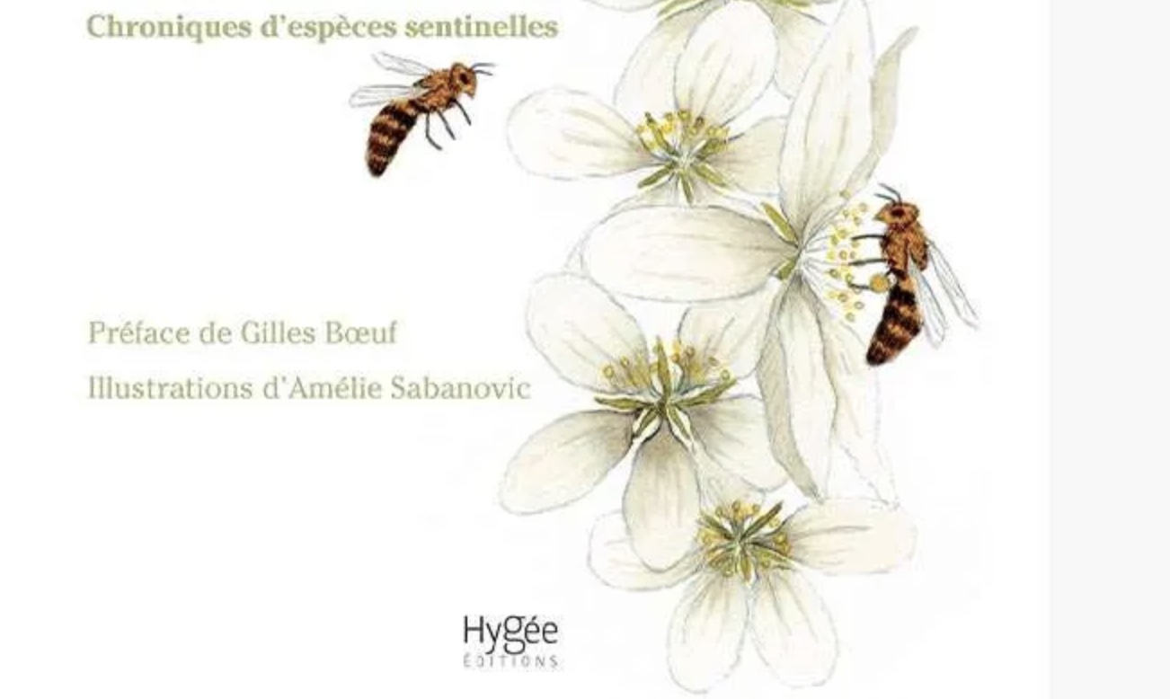 Quand les animaux donnent alerte Cyrille Harpet