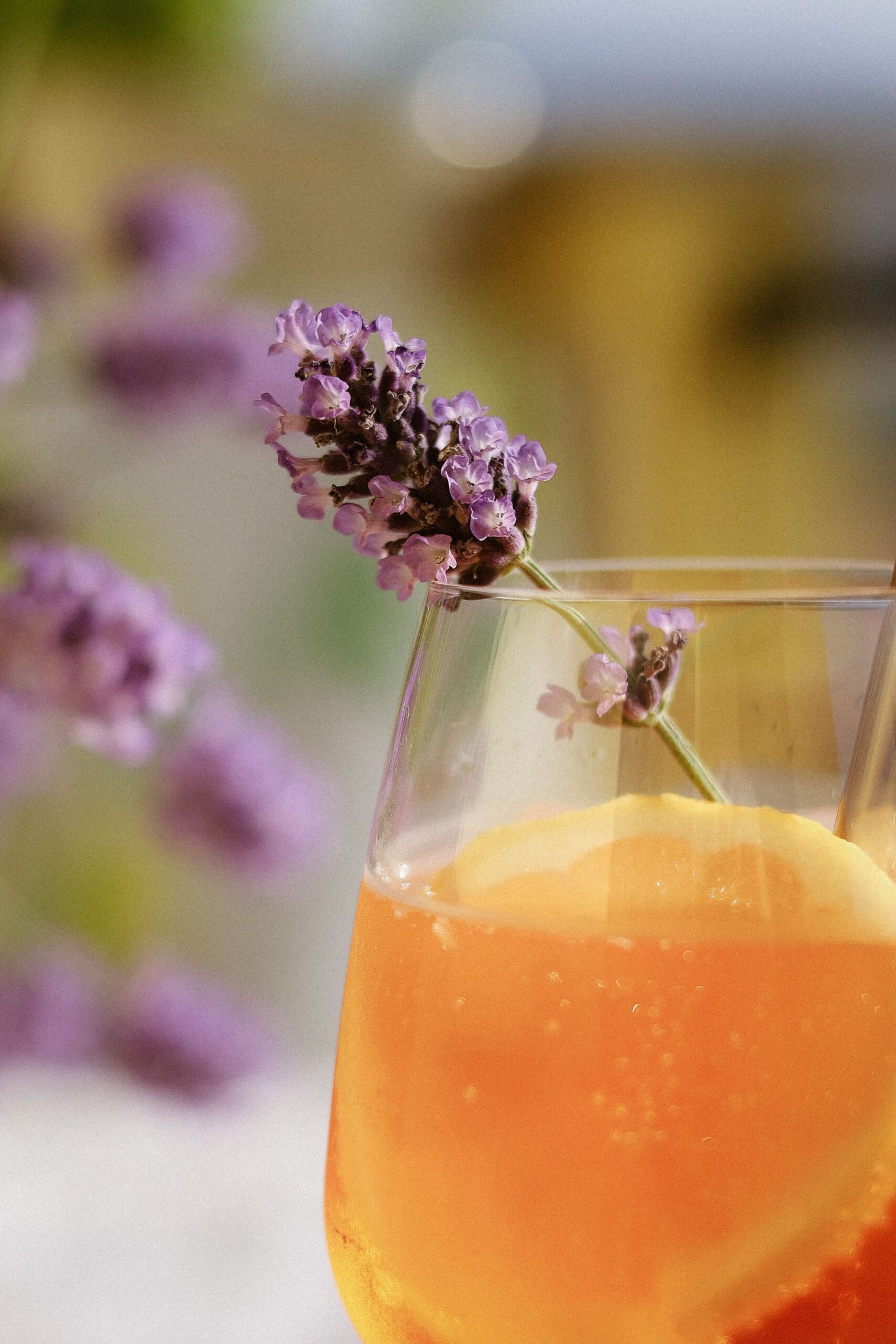 Atelier boissons gazeuses naturelles Tiers lieu Le Betalab' 5 rue Bourgneuf Melle 2026-09-26