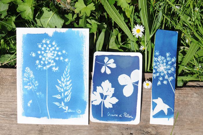 Atelier cyanotype, Maison du blanchisseur, Grézieu-la-Varenne
