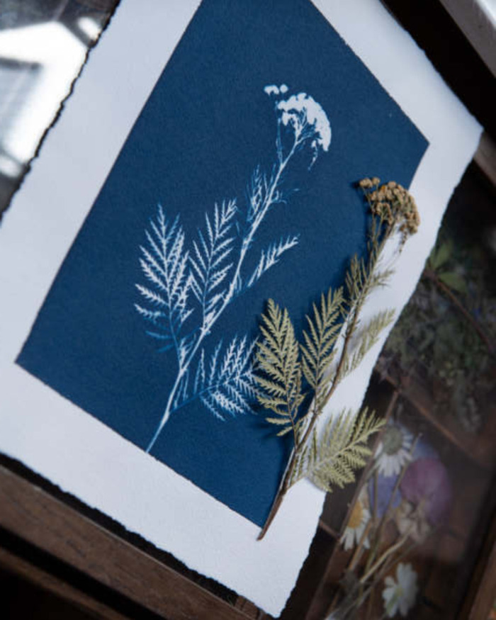 Atelier Cyanotype, Maison du Docteur Gachet, Auvers-sur-Oise