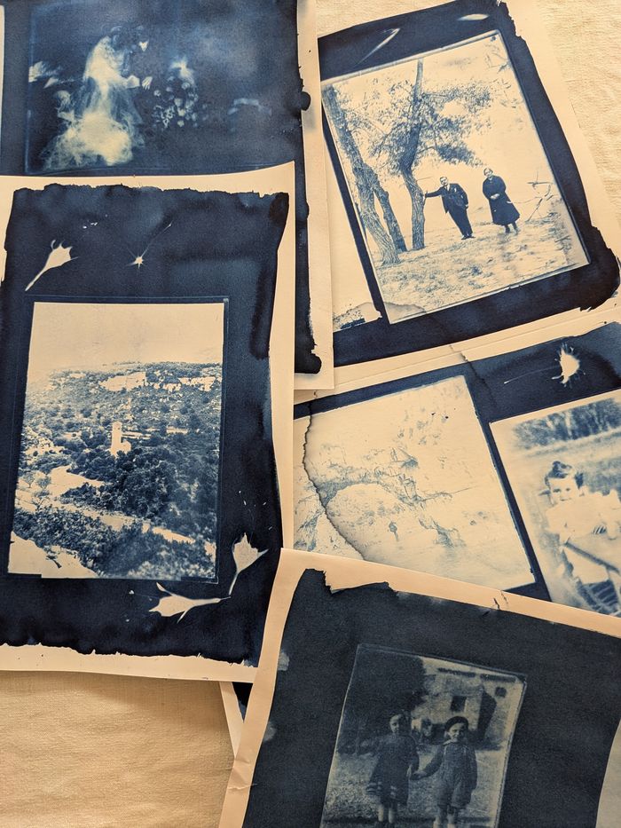 Atelier Cyanotype, Salagon, musée et jardins, Mane