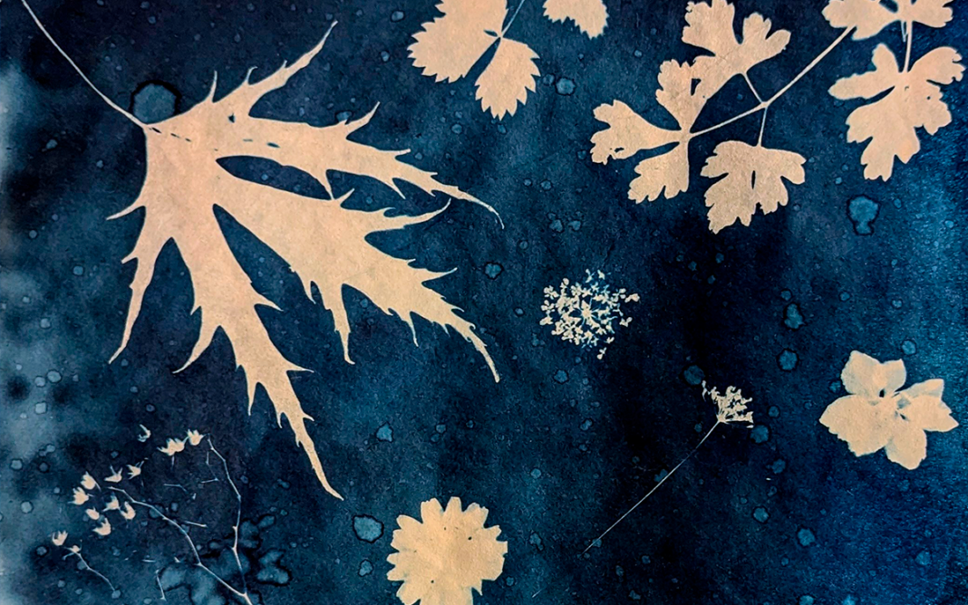 Atelier de cyanotype samedi 26 septembre 14 h 30, Paris 20 Les ateliers du Point bleu PARIS