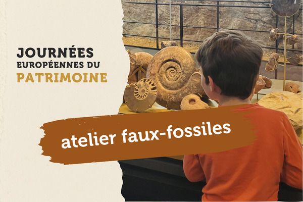 Atelier Faux-Fossiles, Fossilea, Saint-Jean-des-Vignes
