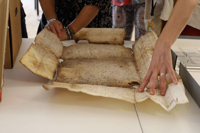 Atelier La conservation en action Cahors