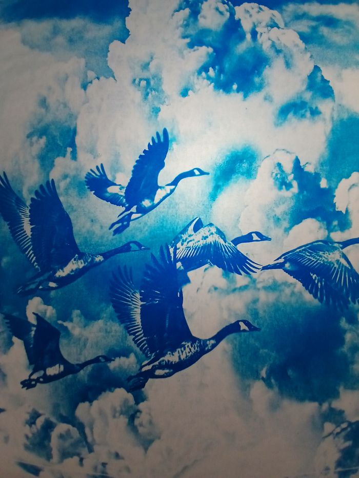 Ateliers cyanotypes, Commanderie Templière de Courval, Valdallière