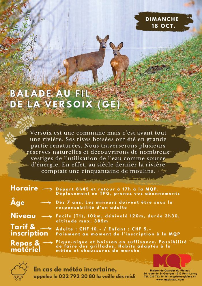 Balade au fil de la Versoix (GE), Maison de Quartier du Plateau, Genève