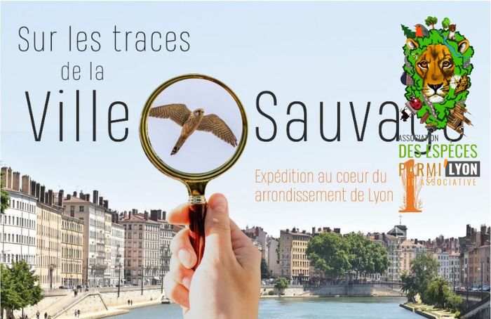 Balade biodiversité avec « Des Espèces Parmi&rsquo;Lyon » // Pentes de la Croix-Rousse, Place Morel, Lyon 1er, Lyon