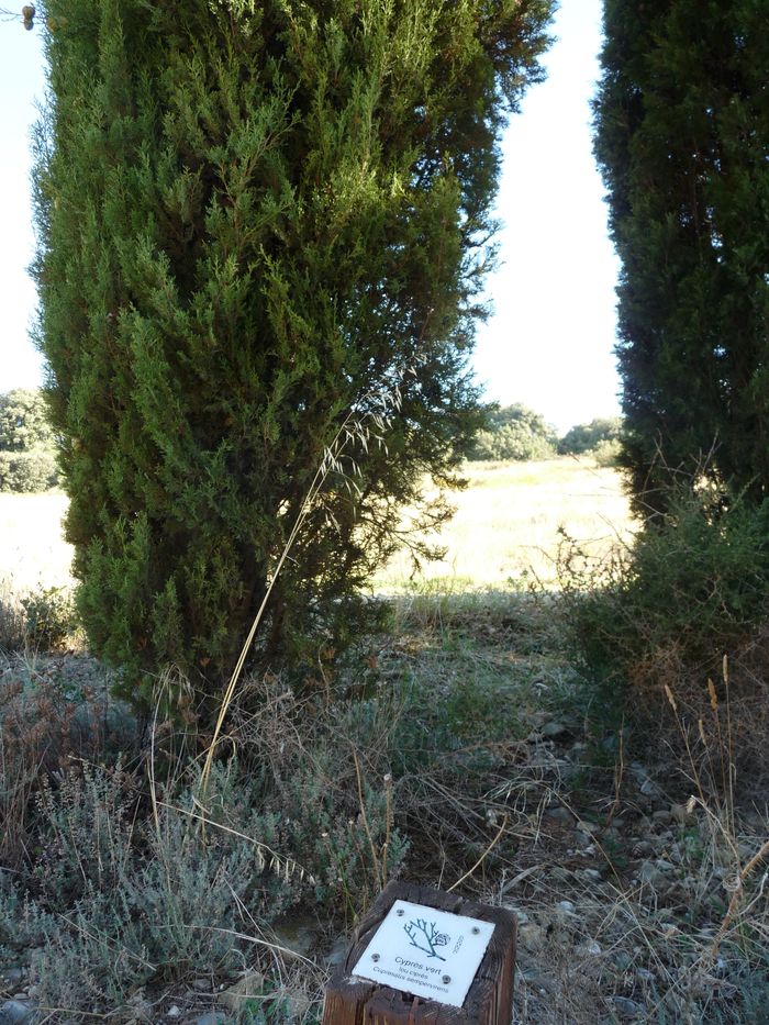 Balade « Clic-clac » du sentier du temps, Sentier du temps Coste de Coa, Vacqueyras
