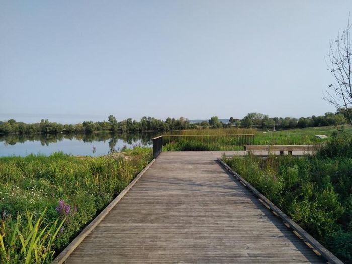 Balade commentée avec un paysagiste du CAUE, Parc du Peuple de l&rsquo;herbe, Carrières-sous-Poissy