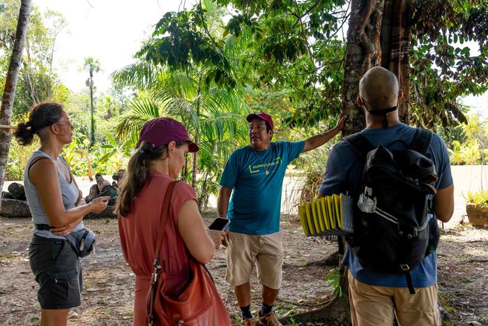 Balade découverte sur notre sentier plantes médicinales et vivrières, Association kalawachi, Kourou