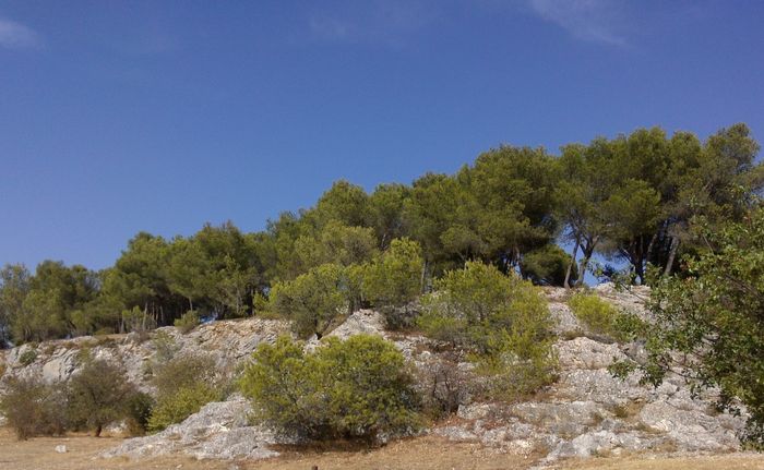 Balade : patrimoine naturel et bâti de la colline du moulin à vent, Parking du Crous, Nîmes
