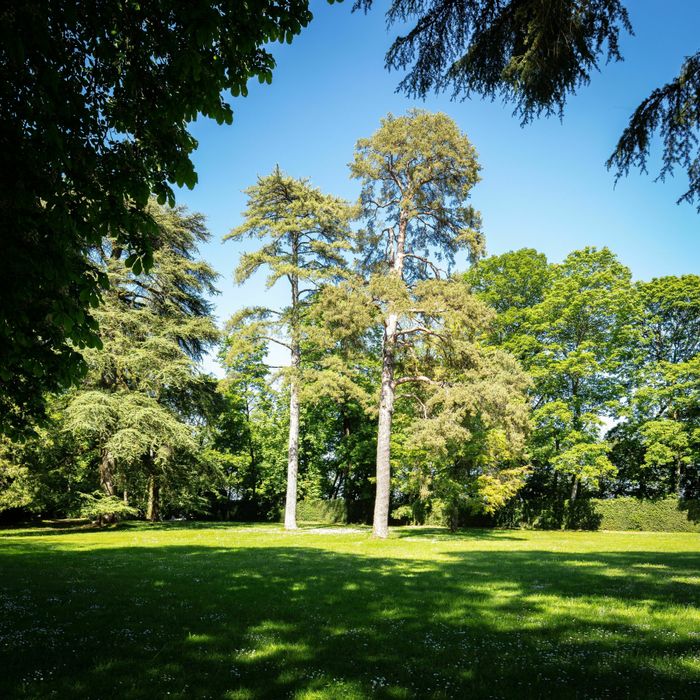 Balades Guidées – Le parc du Château de Ray-sur-Saône et ses détails, Château de Ray-sur-Saône, Ray-sur-Saône