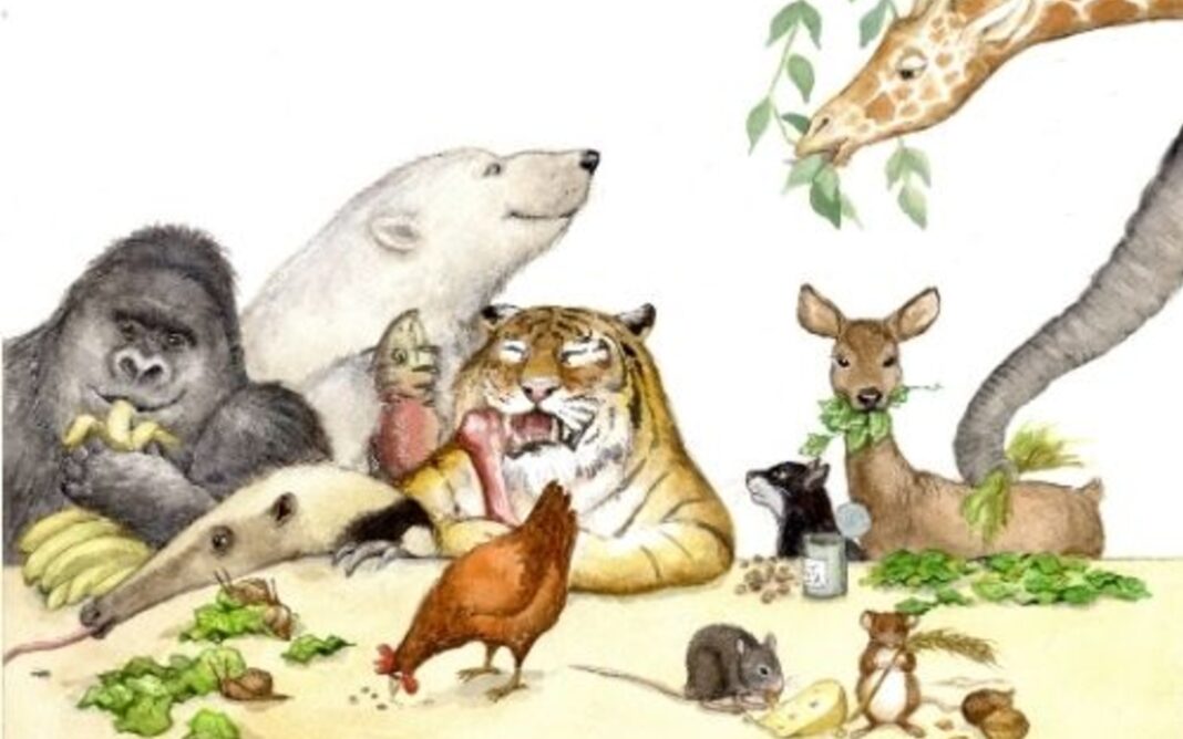 « Bon appétit les animaux ! » un album des éditions du Ricochet Bibliothèque André Malraux Paris
