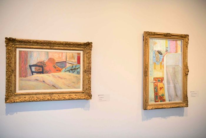 BONNARD AU BOUT DU NEZ, Musée Bonnard, Le Cannet