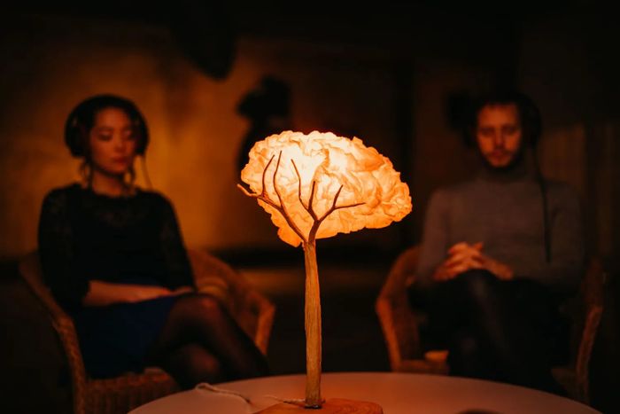 Bonsaï-Soleil : fable immersive par le studio Onyo, Médiathèque André-Malraux – Espace Aimé Césaire, Gennevilliers