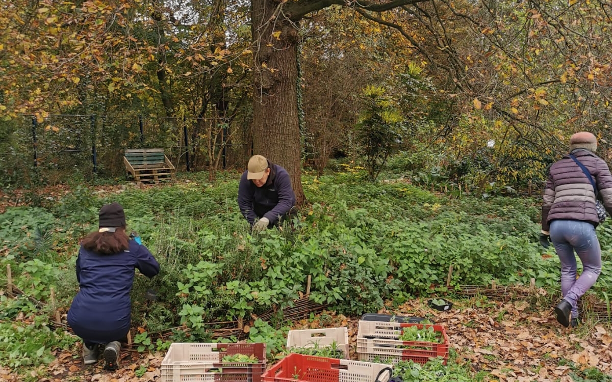 Chantier permaculture La Ferme de Paris PARIS
