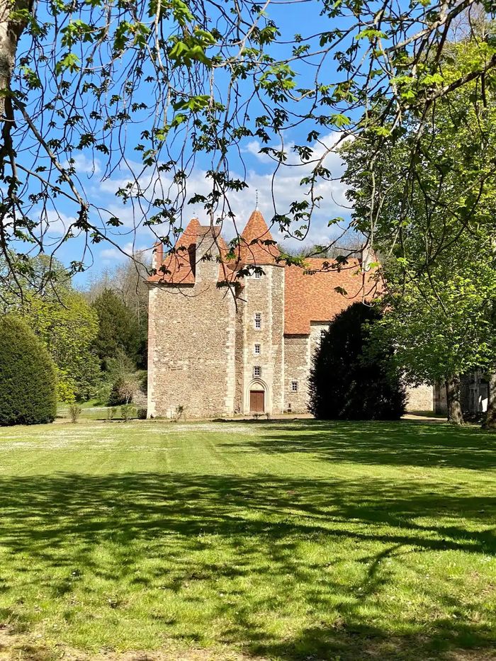Château au fil des siècles, Le Château, Saint-Quintin-sur-Sioule