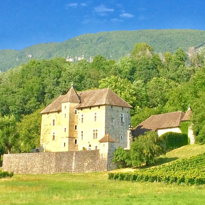 Château de Mécoras XII XIV XVI siècle, Château de Mécoras, impasse de Mécoras, Ruffieux