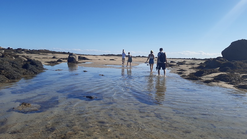 Chausey Grandes Marées, histoire et découverte de l’estran Granville