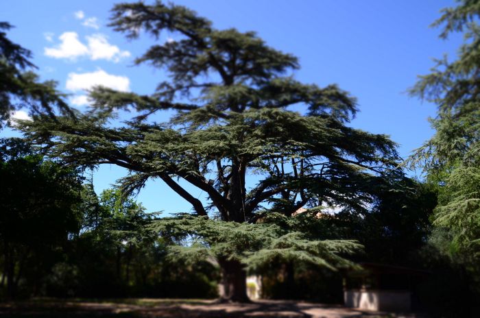 Cinéma en plein air « Villelaure, ici était un village » de Pierre Halin, Parc du Château, Villelaure