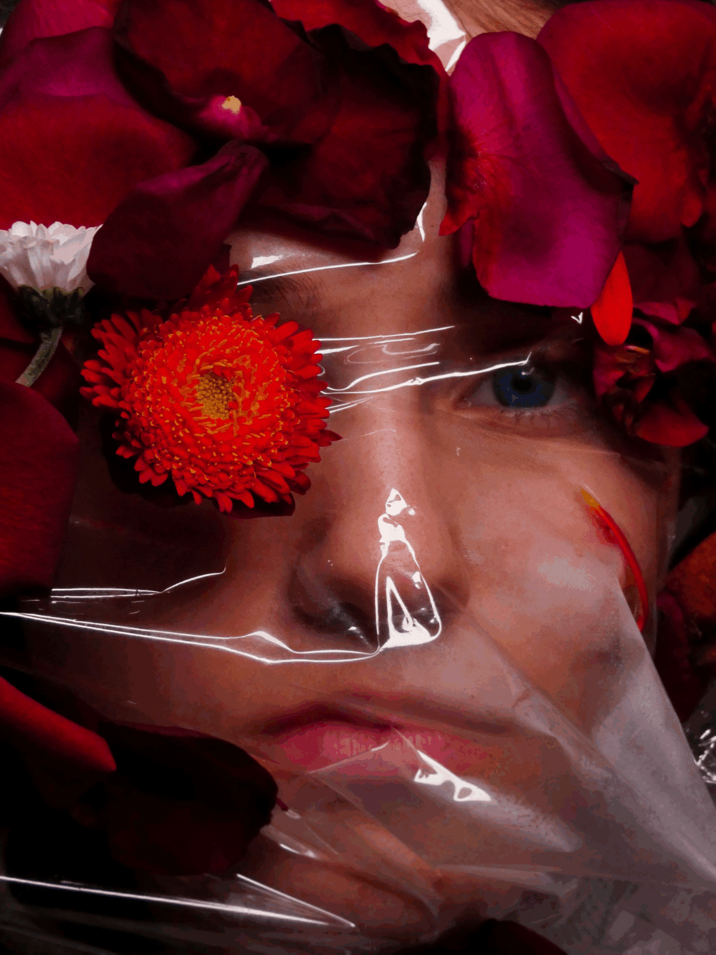 invisibles morgane reboul