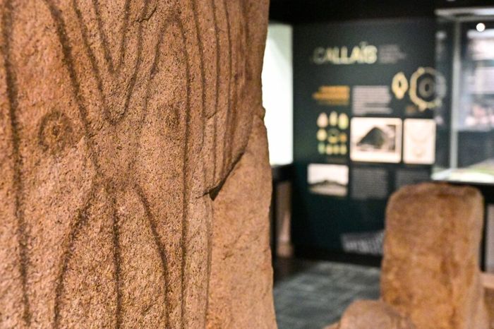 Code néolithique : l’enquête !, Musée de Préhistoire de Carnac, Carnac