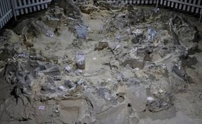 Comment protéger le patrimoine archéologique en zone de guerre ? Exemple de l’Ukraine., Espace muséal Jean Jousse 72320 Gréez-sur-Roc, Gréez-sur-Roc