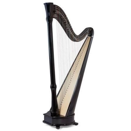 Concert de Harpe celtique de Monsieur Bertrand, Parc & Château de Kerlevenan, Sarzeau
