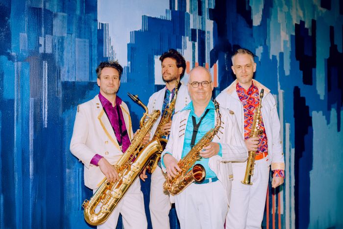 Concert de la fanfare Cluster Keaten, Jardin des Beaux-Arts, Angers