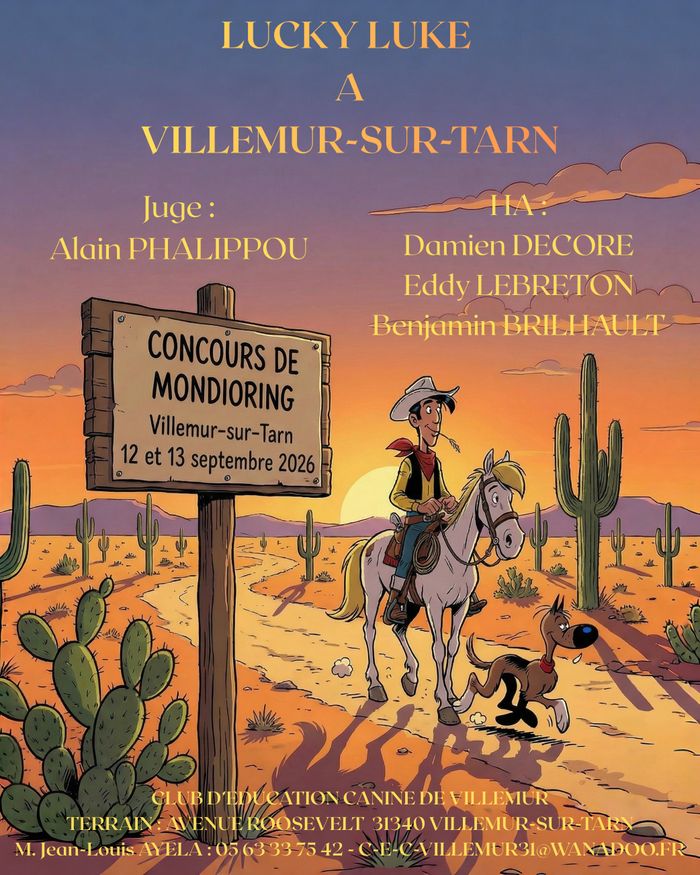 Concours de Mondioring, Avenue Franklin Roosevelt, 31340 Villemur-sur-Tarn, Villemur-sur-Tarn